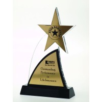 Acrylic Trophies