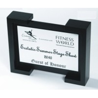 Acrylic Trophies