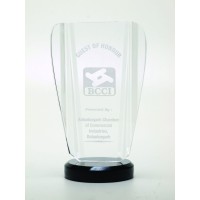 Acrylic Trophies