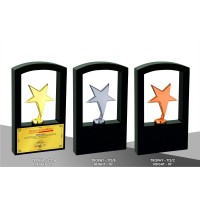 Metal Trophy