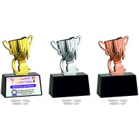Metal Trophy