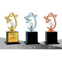 Metal Trophy