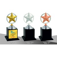 Metal Trophy