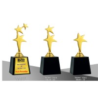 Metal Trophy