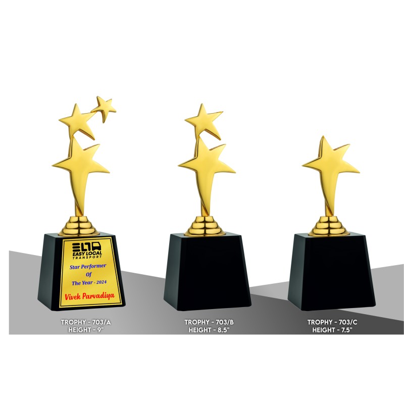 Metal Trophy