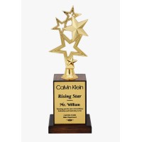 Metal Trophy