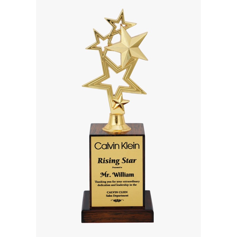 Metal Trophy