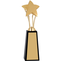 Metal Trophy