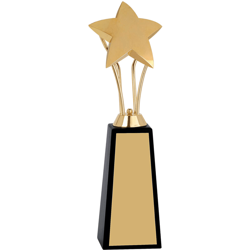 Metal Trophy