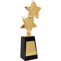 Metal Trophy