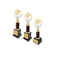 Metal Trophy