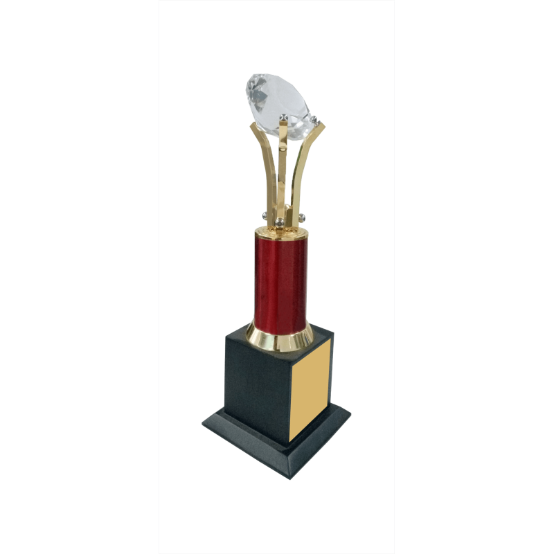 Metal Trophy