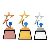 Metal Trophy