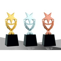 Wooden Trophies